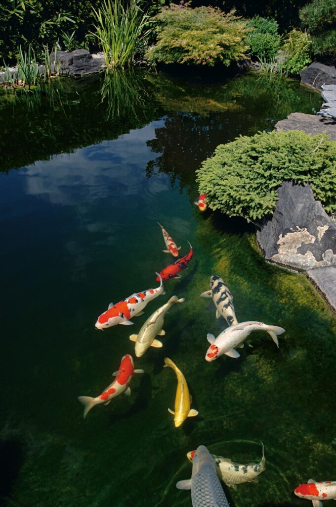Voyage TRIPOND